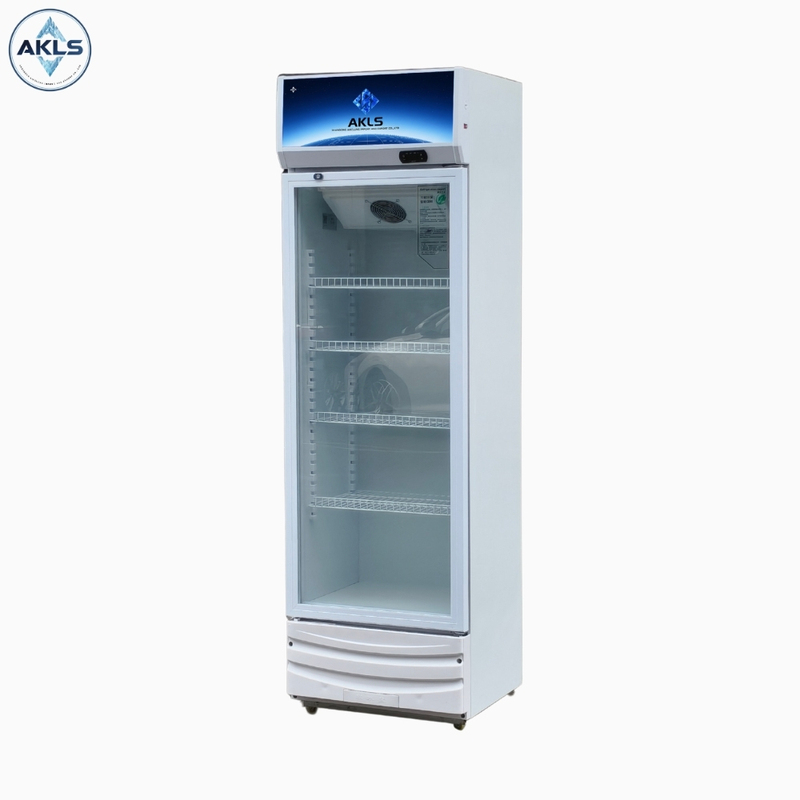 Vertical Budget friendly Type Single Door