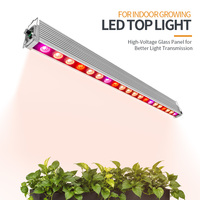 Module LED de culture horticole 320W, spectre complet, intensité réglable, IP66, contrôle par groupe en chaîne pour serres et fermes