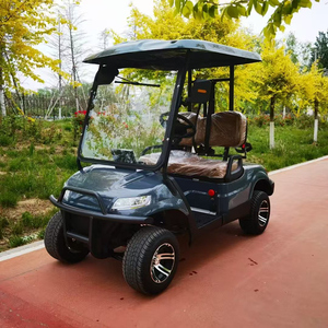 Voiturette de golf 2 places Premium 2025-Offre exclusive à durée limitée - Product Image 2