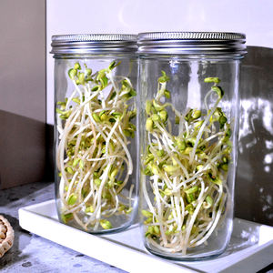 Nuevo Estilo de Tarro de Cristal Ecológico y Transpirable para Germinación con Soporte Metálico y Tapa de Malla para Cocina, DIY de Alimentos y Germinación de Semillas - Product Image 3