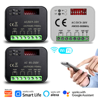Interrupteur WiFi universel Tuya RX-MULTI pour porte de garage et portail : récepteur intelligent 300-868 MHz