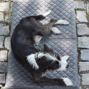 แผ่นรองสำหรับสุนัขและสัตว์เลี้ยงแบบพกพาสามารถพับเก็บได้เสื่อฝึกสุนัขแบบพกพาสำหรับใช้กลางแจ้งที่นอนสุนัขในรถยนต์เบาะรถยนต์ป้องกันสิ่งสกปรก - Product Image 2