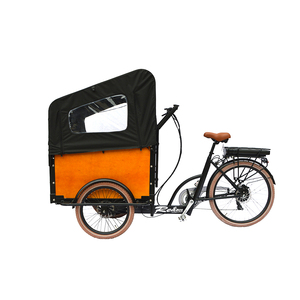 Bicicleta Eléctrica de Tres Ruedas de 250W 36V de Fábrica China <span class=keywords><strong>en</strong></span> Oferta, Triciclo Eléctrico de 20 Pulgadas para Adultos con Asientos Grandes para Pasajeros - Product Image 1