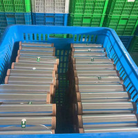 Feuille d'aluminium de qualité alimentaire 8011 11Mic * 350mm * 150m feuille d'aluminium robuste/petit rouleau
