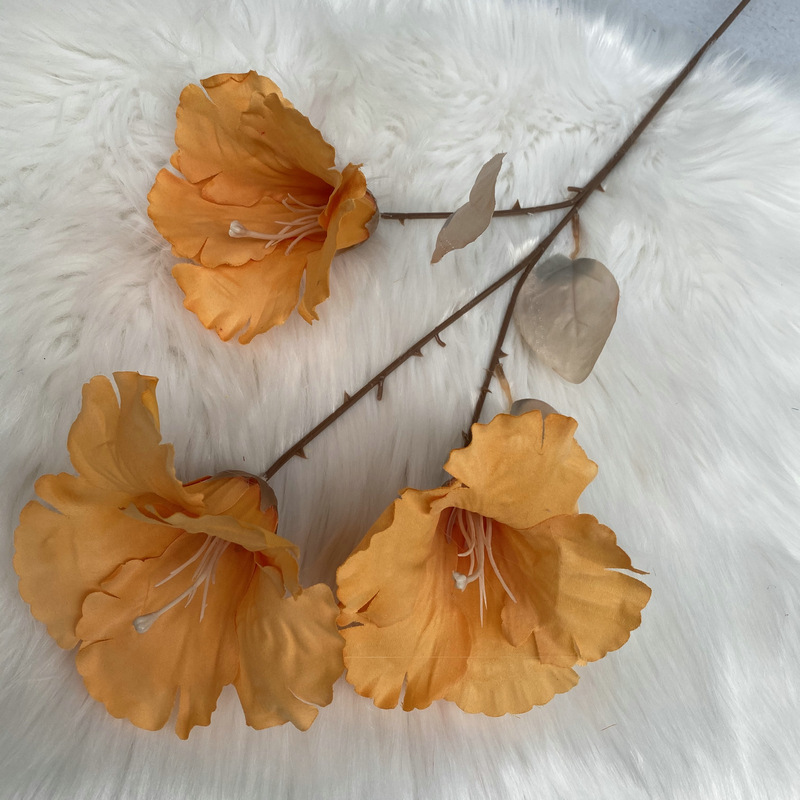 3 têtes d'orange