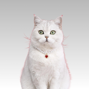 Venta al por mayor de lujo de cristal perro gato Halloween Navidad <span class=keywords><strong>collar</strong></span> - Product Image 1