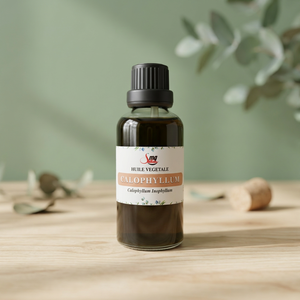 Produkt aus Madagaskar Calophyllum (Tamanu) Trägeröl Kaltgepresst 100% Rein Natürlich Kosmetikqualität Calophyllolide-Reich aus Ma - Product Image 1