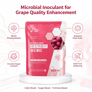 Inoculante Microbiano Orgánico Anti-Estres de Liberación Lenta para Uvas, Previene la Interrupción del Color por Lluvia, para Cultivadores Internacionales de Frutas - Product Image 3