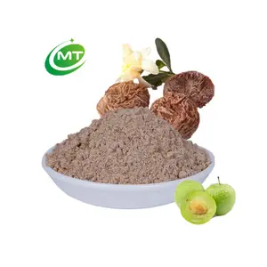 Poudre de saveur de prune aigre séchée savoureuse naturelle biologique poudre de bon goût Li Hing Mui