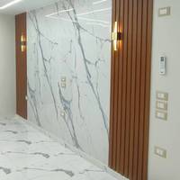 Panneau mural WPC moderne à installation rapide, écologique, étanche, insonorisé, ignifuge, couleur personnalisable, pour l'ensembles de loisirs, disponible en gros