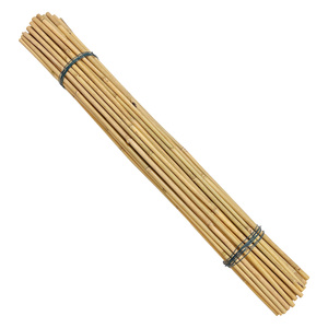 <span class=keywords><strong>Caña</strong></span> <span class=keywords><strong>de</strong></span> Bambú Tonkin Natural <span class=keywords><strong>de</strong></span> 12FT, 14FT, 17FT <span class=keywords><strong>de</strong></span> Longitud, Pared <span class=keywords><strong>Gruesa</strong></span>, Soporte para Plantas, Poste <span class=keywords><strong>de</strong></span> Bambú para Jardinería y Agricultura - Product Image 1