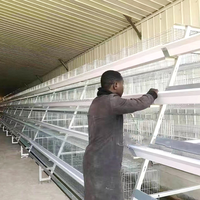 Cage à poulets à haute efficacité de type 3/4 niveaux, galvanisée à chaud, ensemble complet avec alimentation automatique pour projet d'élevage avicole