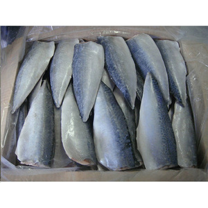Filets de maquereau du Pacifique surgelés, fraîcheur optimale, types Scombrus - Product Image 6