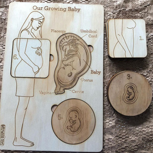 Puzzle en bois sur le cycle de croissance fœtale, jeu éducatif pour bébé sur le processus de <span class=keywords><strong>grossesse</strong></span>, apprentissage cognitif précoce, vulgarisation scientifique, jouet d'apprentissage - Product Image 6