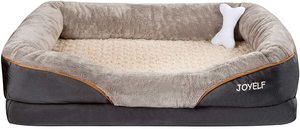 Memory Foam Hond Bed Met Verwijderbare Waterdichte Antislip Deksel