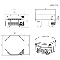 Horno de Pizza a Gas para Exteriores, Piedra Giratoria para Pizza de 12 Pulgadas, Horno de Acero Inoxidable para Encimera, para Hogar, Comercial y Fiestas