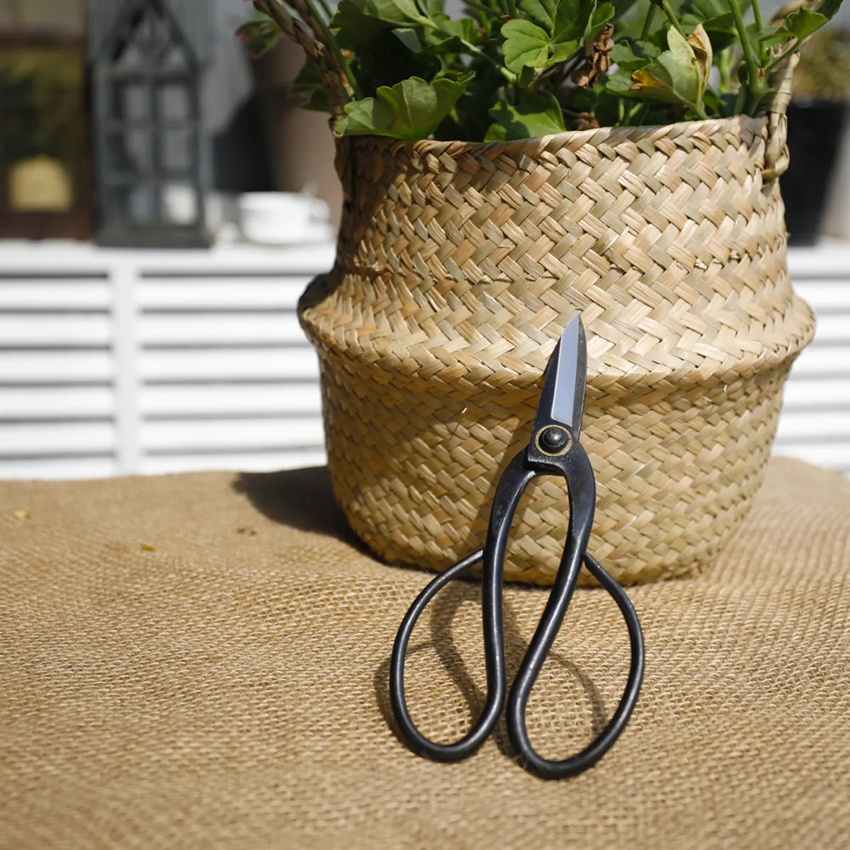 Steel Flower Tree Shear Pruning Bonsai Scissors Hand Garden Pruner