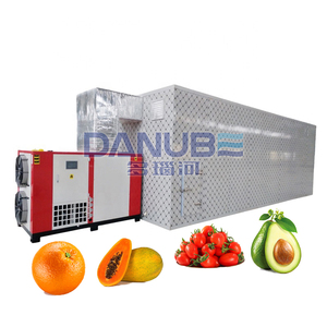 Business Fruit Chips Dryer Avocado Orange Tomato Papaya Drying Machine Fruit Drying Equipment - Product Image 1