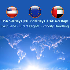 Агент по экспресс-доставке <span class=keywords><strong>DHL</strong></span> FedEx UPS TNT EMS, экспедитор, доставка из Китая в США, Великобританию, Германию, Канаду, Италию, LCL+Экспресс, доставка FBA - Product Image 1