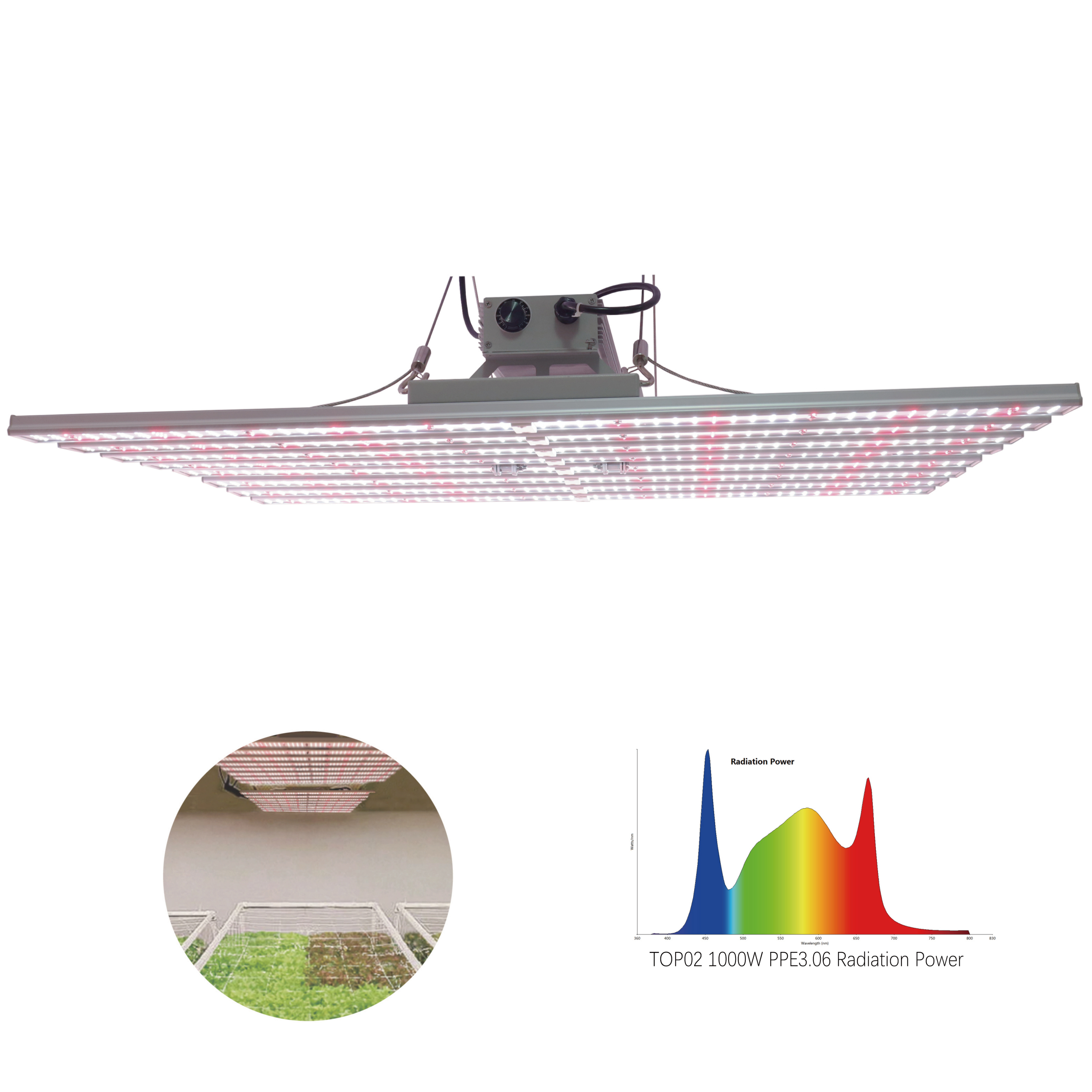 Plant Growth Lamp Hydroponic 8 bar 650w 750w 800w 1000w Dimmable Full Spectrum LED Grow Light bar for Greenhouse Plant