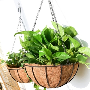 Canasta Colgante de Hierro para Decoración de Pared Exterior, <span class=keywords><strong>Maceta</strong></span> de Hierro, Canasta Colgante de Coco de 8''-16'' - Product Image 1