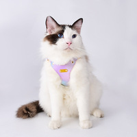Harnais pour chat en cuir avec logo personnalisé, léger, imperméable et antiadhésif, pour chats et petits chiens