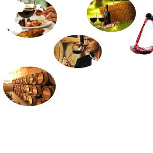 <span class=keywords><strong>Tire</strong></span>-<span class=keywords><strong>bouchon</strong></span> portable multifonction pour vin rouge, accessoire de cuisine, <span class=keywords><strong>tire</strong></span>-<span class=keywords><strong>bouchon</strong></span> de bar, ensemble de <span class=keywords><strong>tire</strong></span>-<span class=keywords><strong>bouchon</strong></span> pour <span class=keywords><strong>champagne</strong></span> - Product Image 4