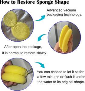 Spugna Assorbente Rotonda in Ceramica Multiuso Gialla per Strumenti Artistici e Soggetti su Tela - Product Image 6