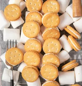 Uitstekende Prestaties Snelle Installatie Biscuit Machine Makng Line Productie Automatische Bakkerijmachines