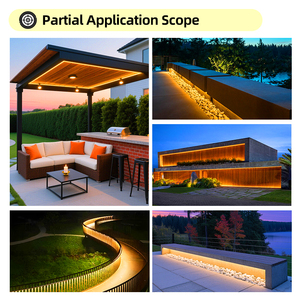 Bande lumineuse LED flexible en silicone étanche IP66 personnalisée LFB1205-3, lumière néon pour extérieur, maison, cour, villa, parc, lit de fleurs - Product Image 2