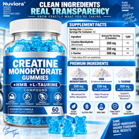 Gummies de créatine monohydrate en gros, marque privée OEM, avec HMB et taurine pour hommes et femmes, 60 unités, favorise la croissance musculaire *HALAL