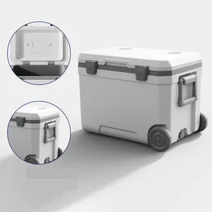 Aji Of Powered Split Battery Stainless Steel 50L Portable Electric 12V Igloo Car Cooler Box