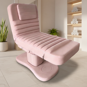 Premium Electric Adjustable Unit for Multi-Function Salon Facial SPA Care Beauty Bed - Product Image 1