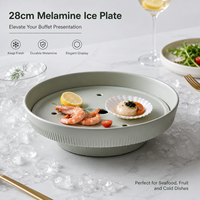 Assiette en mélamine effet glace sèche, gris spatial mat, fumé, durable, pour service à domicile, cocktails, desserts, incassable