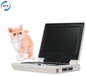 의료용 휴대형 12인치 <span class=keywords><strong>HD</strong></span> 수의학 컬러 진단 시스템 스캐너 자동 초음파 기기 (프로브 포함) - Product Image 5