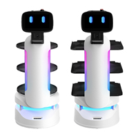 Robot Serveur IA pour Salon de Manucure : Livraison de Thé et Café, Assistant de Salon de Beauté