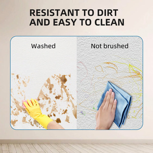 Thấp VOC môi trường thân thiện trong suốt tự làm sạch lớp chống thấm nước lớp phủ bảo vệ chống thấm nước cho các tòa nhà cổ - Product Image 4