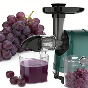 Extractor de Jugos Comercial de Alta Producción, Prensado en Frío, para Frutas y Verduras - Product Image 1