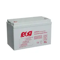 Battery Desulfator Lead Acid Battery 12 24 36 48 Volt Batteries Auto Pulse  200AH