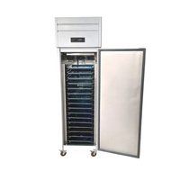 Congelador Comercial Vertical de Acero Inoxidable con Una Puerta y Enfriamiento por Aire para Bandejas GN