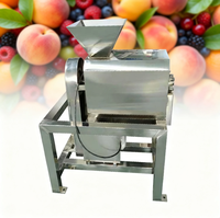 Machine à pulper les fruits et légumes industrielle / Machine à pulper les fruits en SUS 304 / Machine à pulper les fruits motorisée à haute productivité pour la fabrication de jus