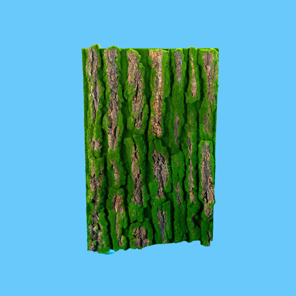 4060
