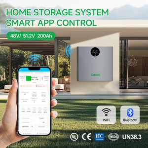 Batería de Litio de 5KWh 51.2V para Montaje en Pared, Almacenamiento de Energía de Ciclo Profundo para Sistemas Solares Residenciales, Precio al por Mayor - Product Image 4