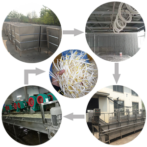 Ligne de production et de lavage de germes de haricots mungo à usage commercial - Product Image 1