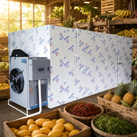 Fruitdroogmachine warmtepomp type voor de verwerking van gedroogde tomaten en chilipepers