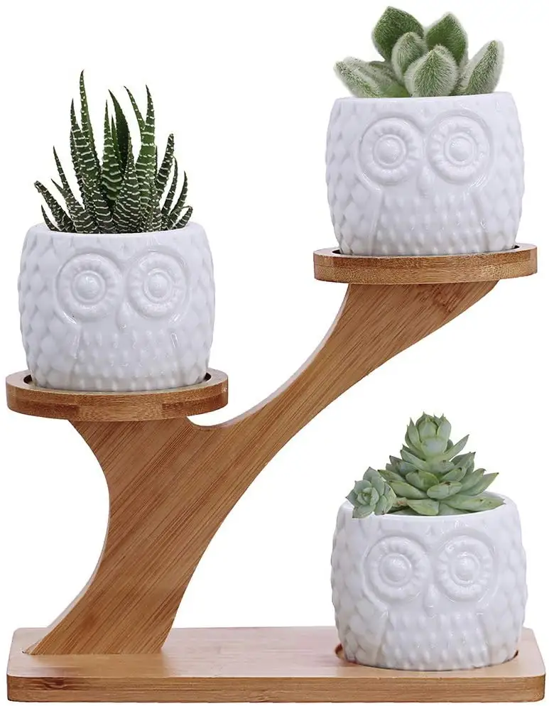 Owl Pot Sukulen dengan 3 Tingkat Piring Bambu Dudukan-Pot Tanaman Penanam Bunga Keramik Dekoratif Modern Putih dengan Saluran