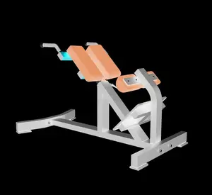 nice price best quality back extension bench roman chair gym equipment