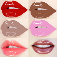 Créez votre propre logo personnalisé Rouge à lèvres de marque privée Base de maquillage longue tenue Brillant à lèvres transparent