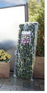 Giá tốt nhất mở rộng liễu trellis với lá nguyệt quế nhân tạo - Product Image 4