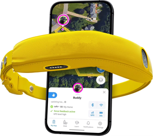 Collar Halo 4, Nuevo Collar de Adiestramiento y Valla Inalámbrica para Perros con GPS y Rastreo en Tiempo Real, Impermeable, Talla Única (4 Colores) - Product Image 4